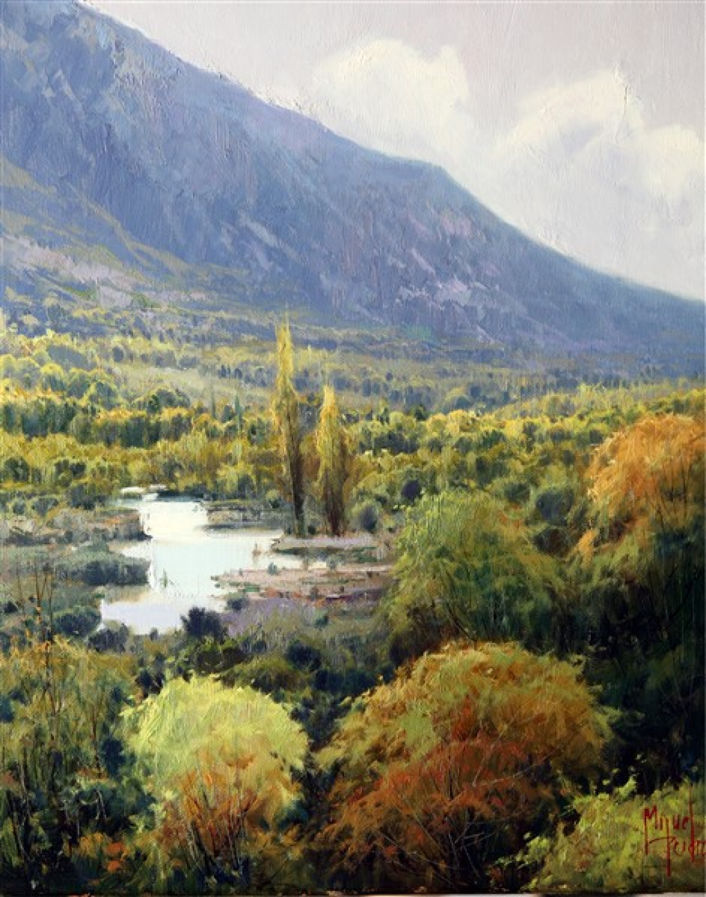 NEAR THE ARAN VALLEY