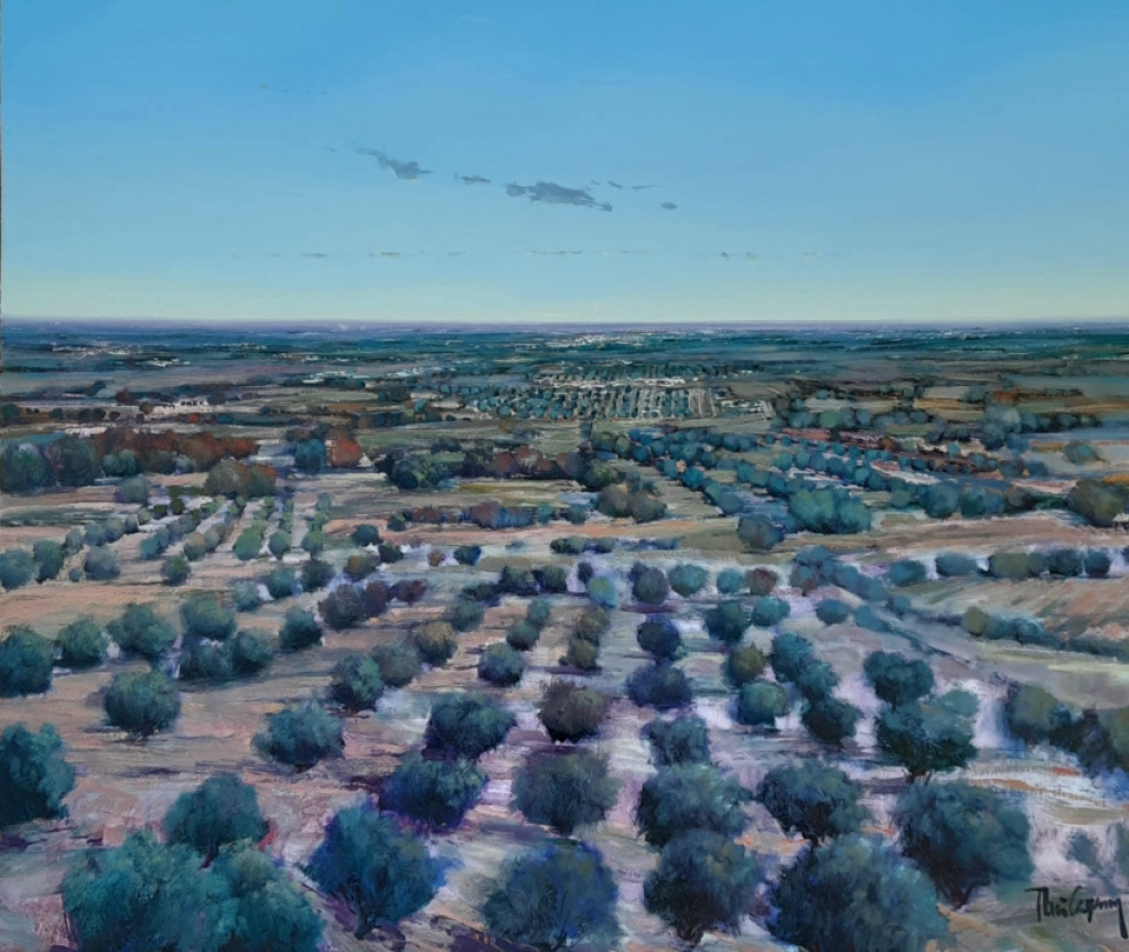 Winter of olive trees