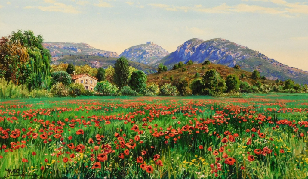 POPPIES IN MONTGRÍ