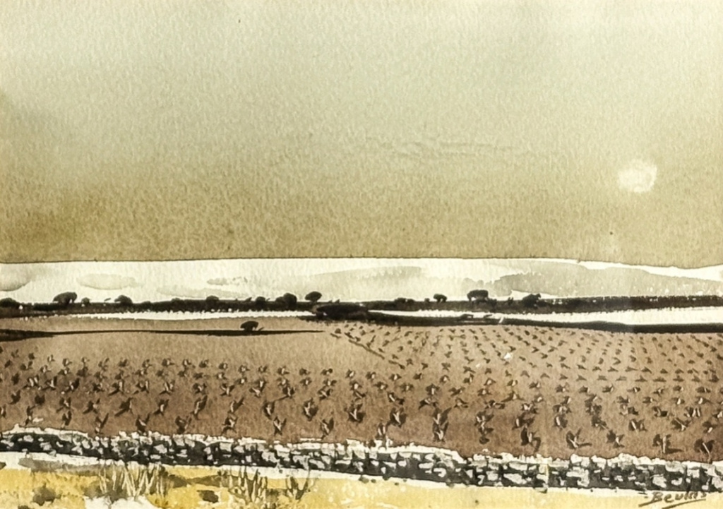 PAYSAGE DU MATIN