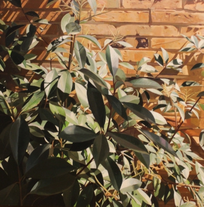 Plantas en el muro II