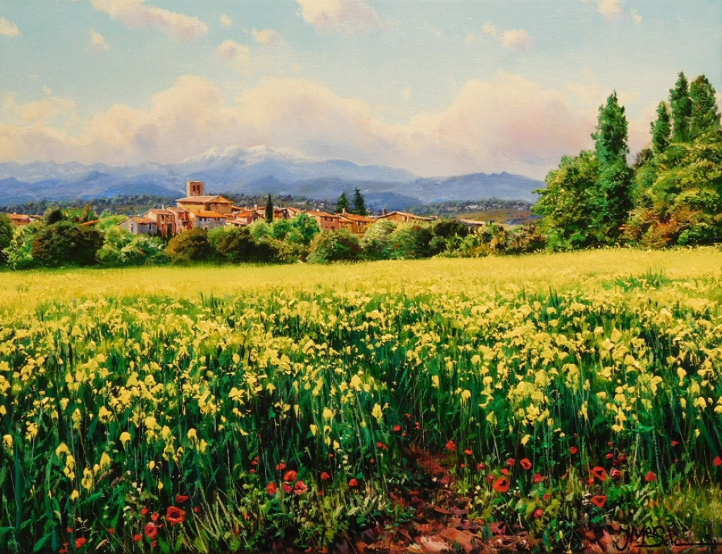 YELLOWS IN AVINYONET