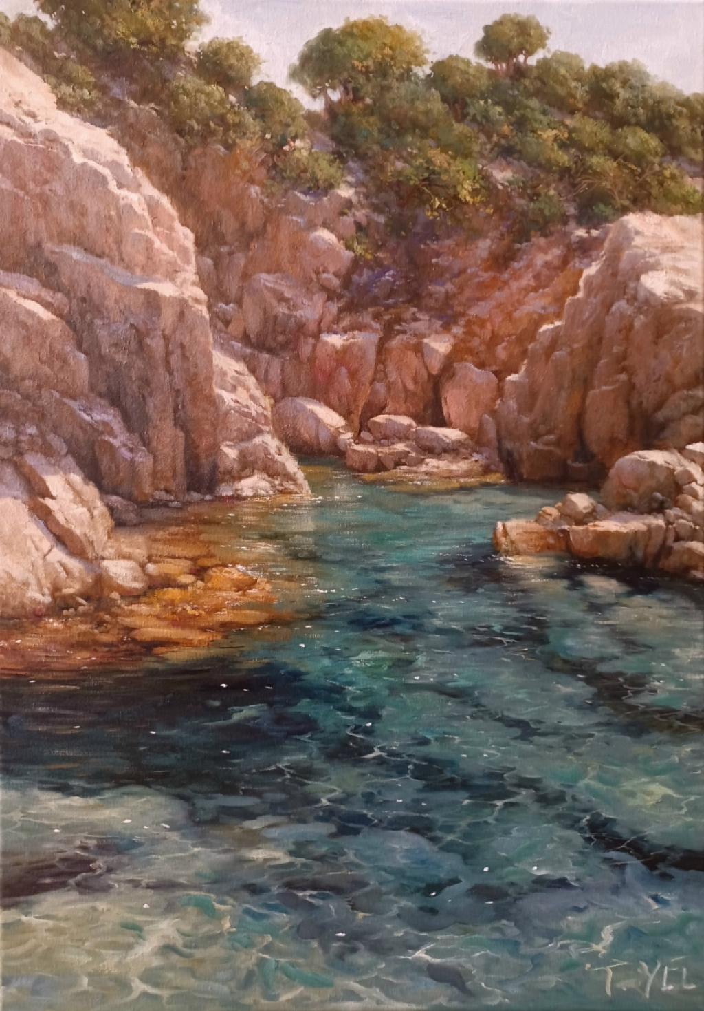 THE TRANSPARENT COVE