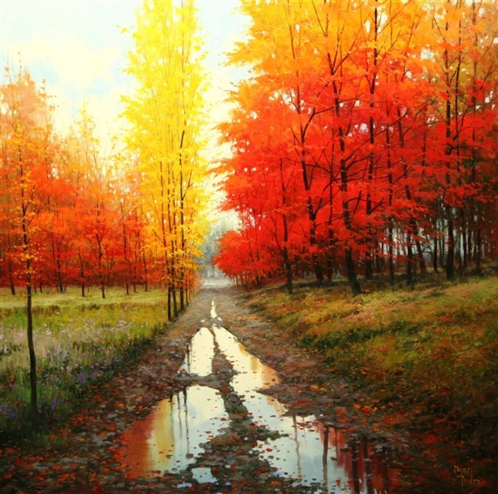 AFTER THE RAIN