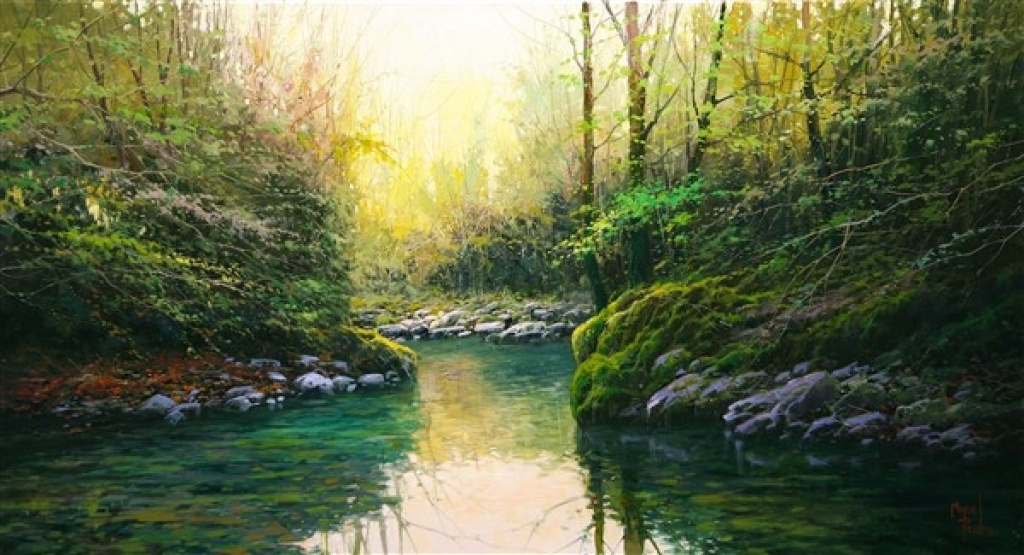 RIVER IN THE PYRENEES
