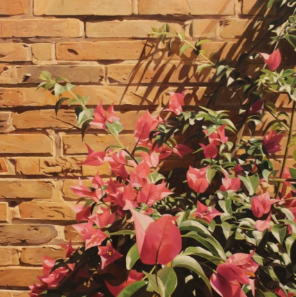 Plantas en el muro I