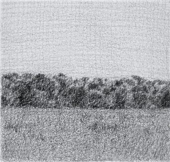 Naturaleza XVIII