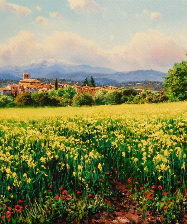 AMARILLOS EN AVINYONET