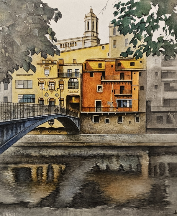 VISTES DE LA CATEDRAL