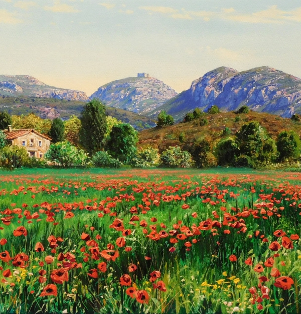 AMAPOLAS EN EL MONTGRÍ