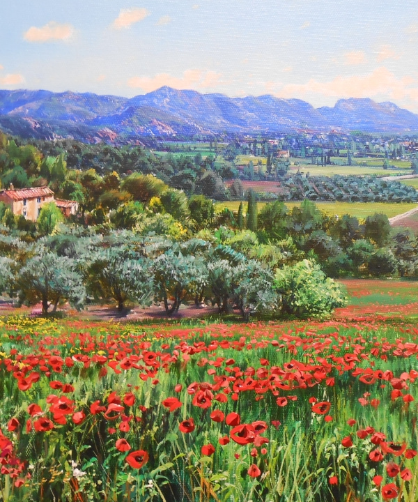 AMAPOLAS. LA PROVENZA