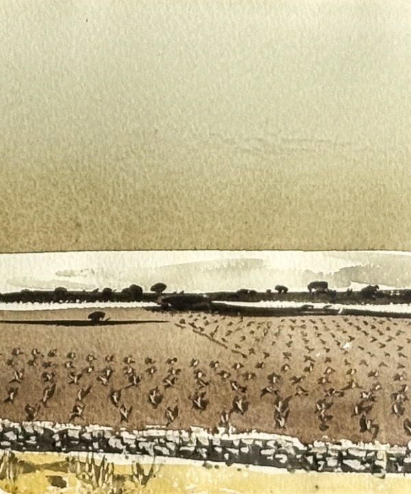 PAISAJE DE MAÑANA