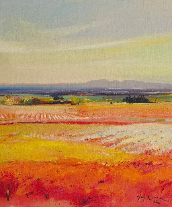 PAYSAGE EMPORDANNAIS