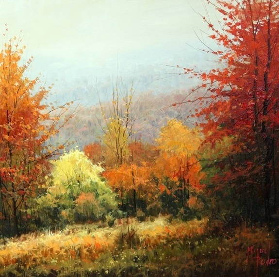 THE FOREST.